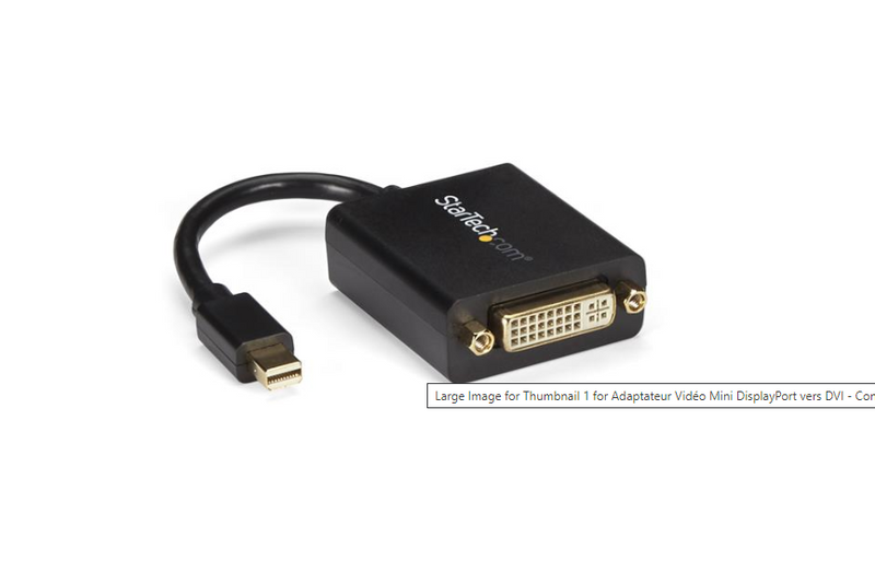Adaptateur Vidéo Mini DisplayPort vers DVI - Convertisseur Mini DP vers DVI - 1920x1200